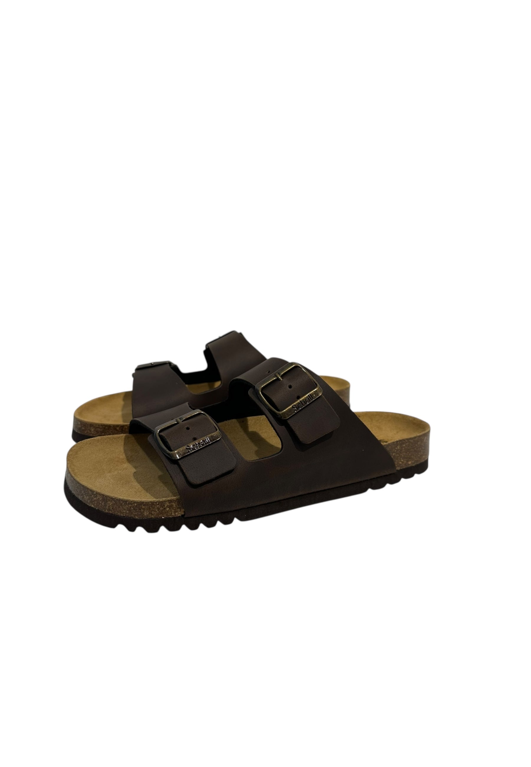 68431d2c1b0b6.jpeg